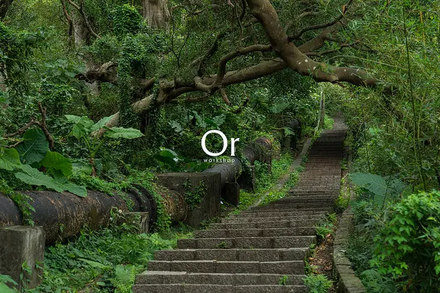 [台北|景點] 在台北登山挑戰千階，走在懷舊的水管道旁，通往陽明山的秘密路徑 - 天母古道親山步道/天母水管路古道