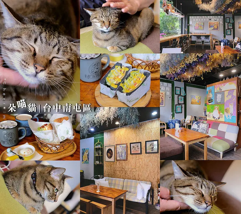 ▶【台中-南屯區】朵喵貓☞溫馨可愛的「🐱貓咪主題餐廳」有超療癒的貓咪來坐檯！台中平價早午餐輕食咖啡館、下午茶！