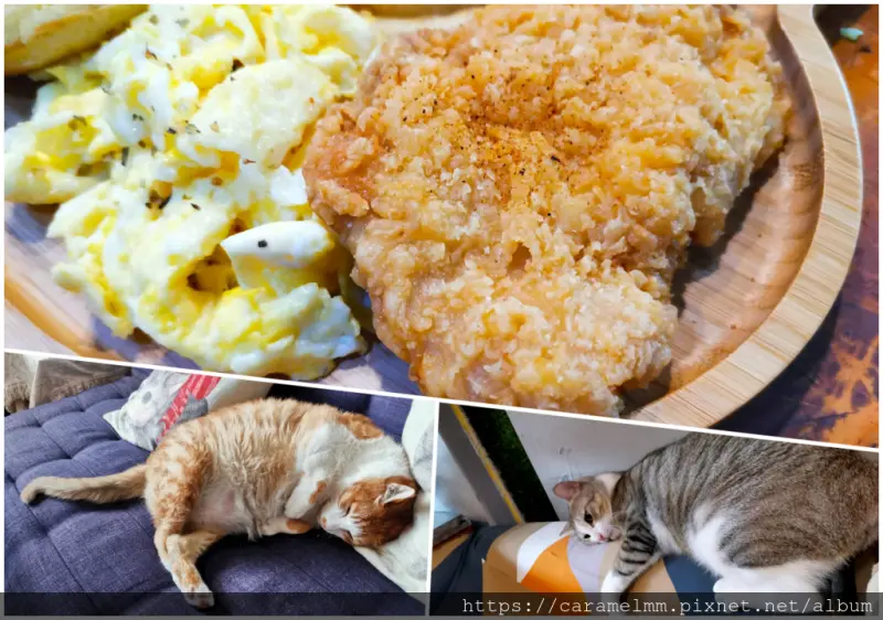 【台中南屯】朵喵貓 輕食下午茶 貓咪主題餐廳 貓星人 貓奴最愛 乾燥花裝潢 朵喵貓菜單 近惠來公園