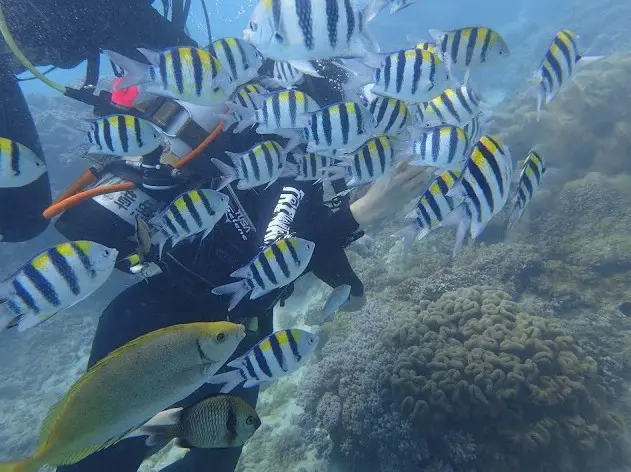 [屏東] PINGTUNG ♚ KENTING TRAVEL 台灣潛水+悠客馬術渡假村騎馬溯溪 | TAIWAN TRAVEL