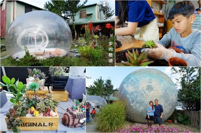 南投親子景點 ▶ 多肉秘境 ▶ 免門票入園! 親子多肉植物盆栽DIY、夢幻6米星球及透明泡泡屋 南投埔里親子一日遊!