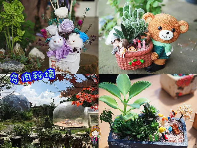 ☞【南投埔里新景點】多肉秘境～多肉手作DIY盆栽＋不凋花手作盆栽，夢幻泡泡屋與星球！！親子推薦|埔里推薦景點