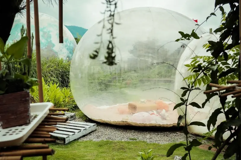 多肉秘境｜南投夢幻泡泡屋景觀，療癒多肉植栽堅持親民價，可以體驗手作盆栽課程。