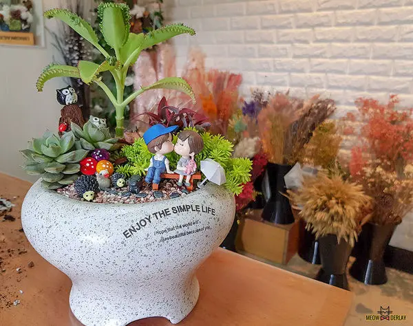 南投埔里『多肉秘境』手做親子ＤＩＹ｜雨天景點來這裡｜新手輕鬆做｜製作故事盆栽｜夢幻泡泡屋｜免費參觀