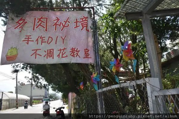 台灣◆南投｜埔里-手作多肉植栽 唯美庭院處處是驚喜-多肉秘境