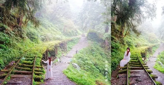 宜蘭太平山一日遊景點 ▶ 見晴懷古步道 ▶ 享受雲霧繚繞的森林美景 全球最美小路之一 太平山必去、太平山行程規劃!