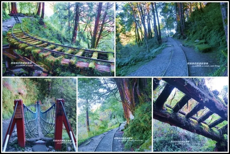 宜蘭。漫步太平山見晴懷古步道。鳩之澤泡湯好舒壓