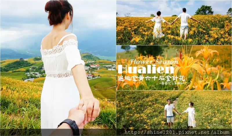 花東金針花季.六十石山｜沿途都好拍.德森有機農場金針花餐