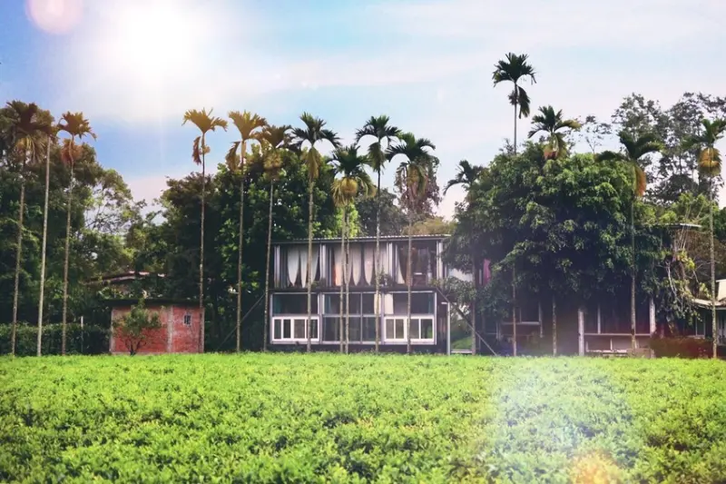 南投 日月潭 秘密花園設計villa 滿山翠意芬芳的韻律中，枕眠在大地的脈搏裡