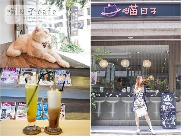 ★食★桃園→【喵日子café】就連貓奴都淪陷的貓咪餐廳/享受被滿滿貓兒包圍的幸福感