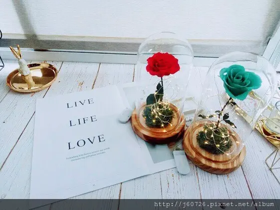 【台北/萬華】西門町捷運站之手作永生花(玫瑰花)美女與野獸單朵玫瑰燈飾★花曜日Flower days★簡單易上手，當日製作過程。(一日遊新選擇)