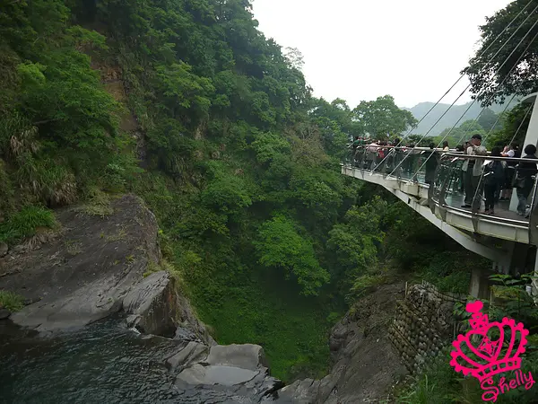 ◆桃園◆ 雪媽嚇到一直唉唉叫的小烏來天空步道