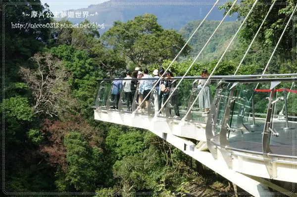♥遊♥【桃園】透明空中步道●小烏來天空步道