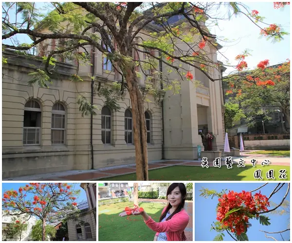 【台南景點】吳園藝文中心~百年古蹟日式中式和歐風的建築三種風格一次飽覽，欣賞鳥語花香，廣場團康表演，鳳凰花最燦爛的鮮紅色彩        
      