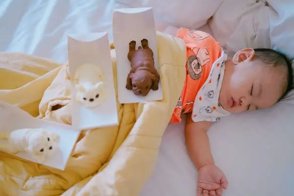 台南 蛋糕 逗趣- Home逼真狗狗蛋糕