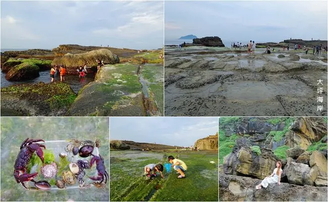 基隆親子玩水景點 ▶ 大坪海岸 ▶ 八斗子漁港附近秘境潮間帶 玩水、抓螃蟹、寄居蟹、海豹岩 基隆玩水秘境 基隆一日遊!