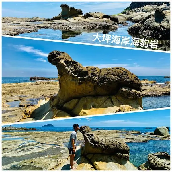  八斗子秘境|大坪海岸驚見海豹岩|2020基隆爆紅打卡熱點|不易到達攝影秘境|基隆親子玩水景點