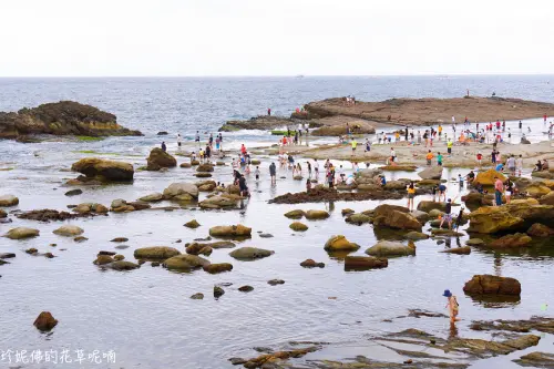 【基隆-中正區】大坪海岸觀賞潮間帶生物
