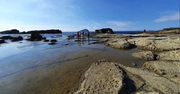 【基隆】大坪海岸│基隆打卡秘境，八斗子必訪景點，帶孩子來一趟潮間帶生態之旅