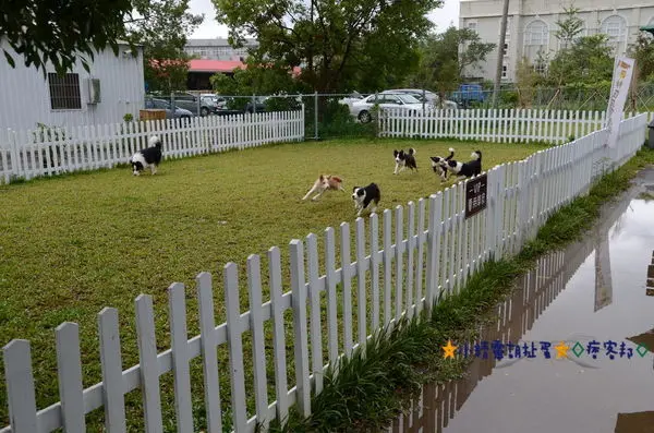 ※寵物友善餐廳※龍潭林可可家寵物親子友善餐廳★小精靈胡扯蛋★2015.08.23