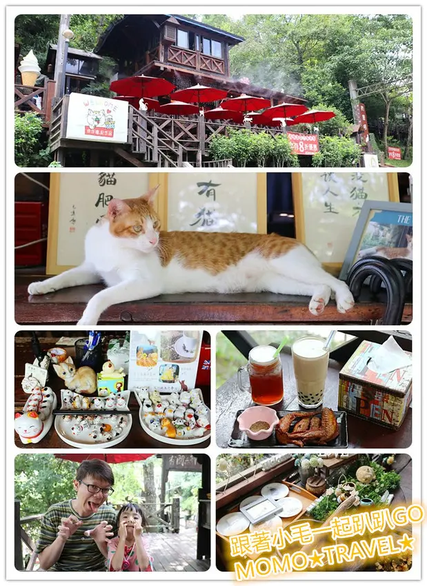 苗栗美食-有隻喵 油桐花丨舊山線鐵道自行車 勝興車站前的貓咪景觀咖啡