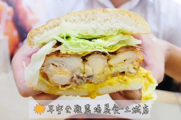 【美食】新北土城「早安公雞農場晨食 土城店」輕食早午餐推薦，道道都讓人意猶未盡!