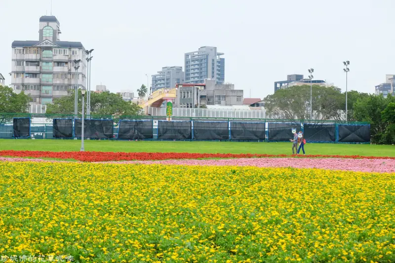 【台北-萬華區】中正河濱公園花海｜觀賞期至五月底