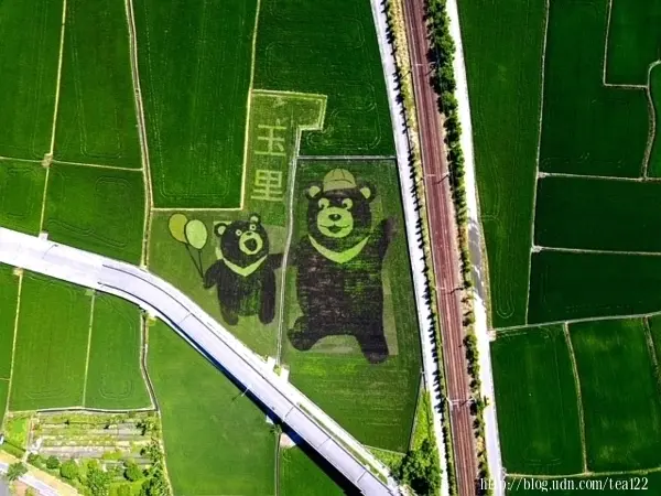 【花蓮。旅遊】赤科山找「茶」趣、老鼠「愛」大「米」、熊熊「玉」見你玉里鎮有機農業微旅行開放報名