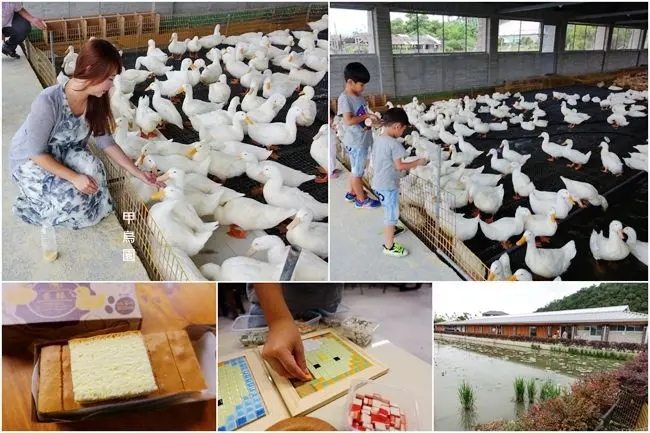 宜蘭親子景點 ▶ 甲鳥園・礁溪新名所 ▶ 清水模鴨舍餵鴨鴨、磁磚馬賽克親子DIY 全鴨蛋蛋糕好好吃 #門票・交通資訊