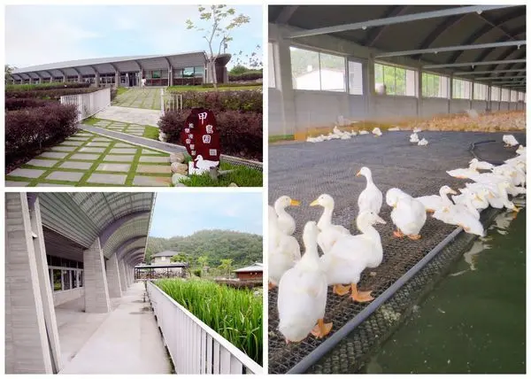 【宜蘭礁溪景點】甲鳥園，清水模鴨舍建築好好拍，品嘗鴨蛋做成的鴨蛋糕及滷蛋~