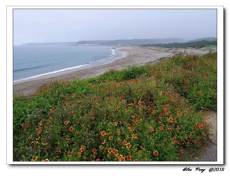 新北市-石門區-富貴角燈塔+豐村平價海鮮餐廳