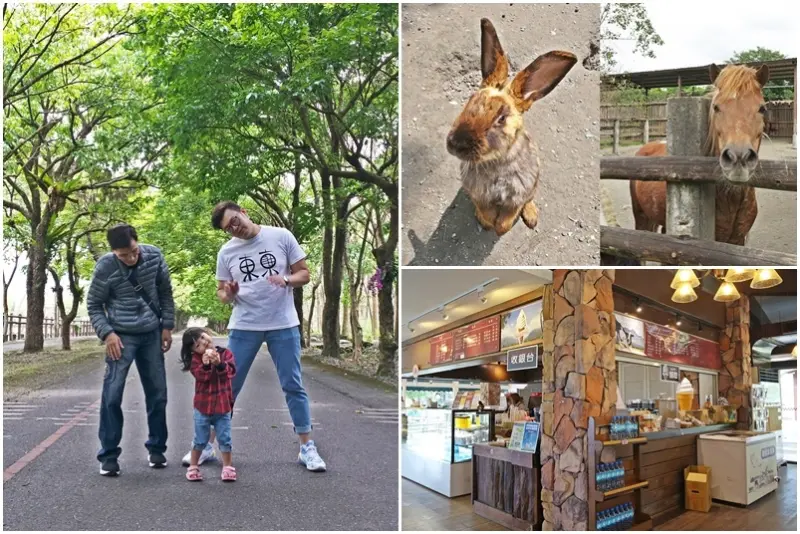 【花蓮景點】超大占地,不用人擠人,親子旅遊推薦,新光兆豐休閒農場,體驗可愛小動物餵食互動