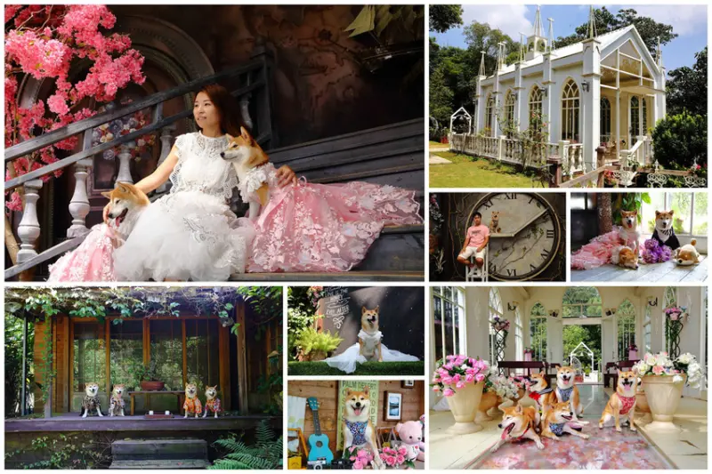 【遊。苗栗三義】莫內秘密花園婚紗攝影基地〜不用出國就可拍出別具風格的獨特婚紗照，不藏私中部絕美婚紗外拍景點分享！