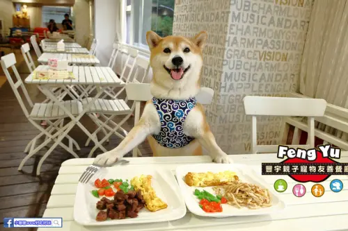  【食。永和】豐宇親子寵物友善餐廳〜永和親子寵物餐廳/義大利麵。180度絕佳視野、全天候早午餐、兒童遊戲區，媽寶聚會最佳地點