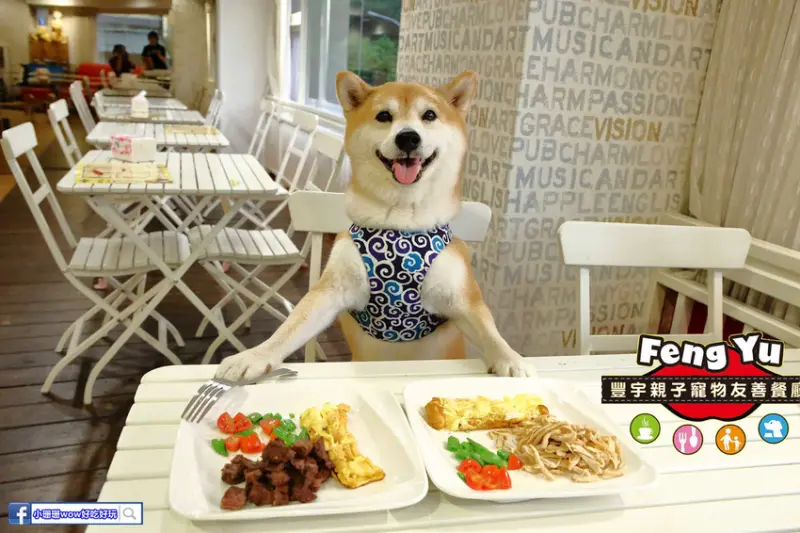  【食。永和】豐宇親子寵物友善餐廳〜永和親子寵物餐廳/義大利麵。180度絕佳視野、全天候早午餐、兒童遊戲區，媽寶聚會最佳地點