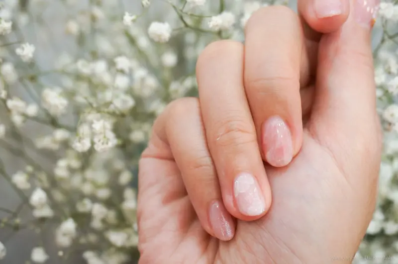 Miss Bello 貝蘿小姐