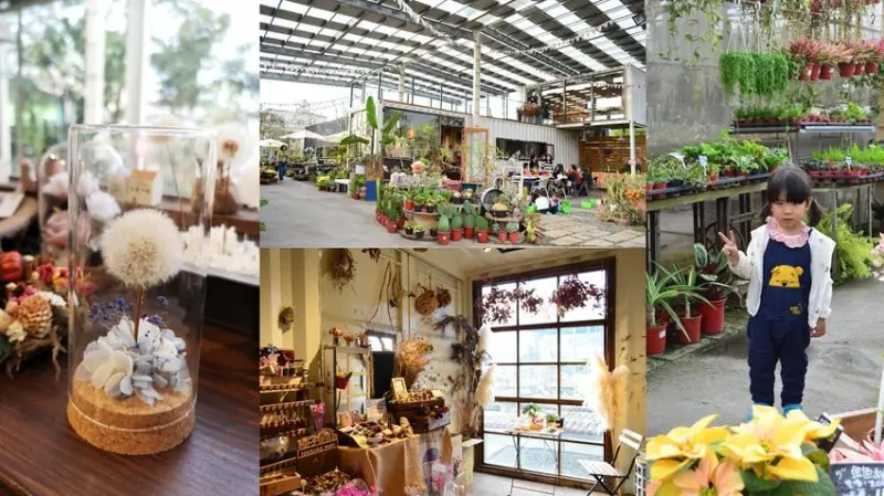 田尾景點_綠果庭院│彰化田尾免費網美打卡景點推薦，全台唯二蒲公英的永生花~ - 愛伊特candy的分享樂園