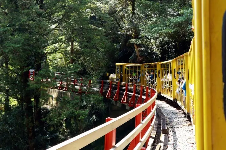 宜蘭大同｜ 宜蘭太平山蹦蹦車體驗｜車票真的難買｜