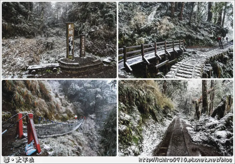 [遊記]【宜蘭縣大同鄉】2018太平山下雪了。山頭整片白雪皚皚美景│見晴懷古步道銀白森林│季節限定美景│2018.02.03現況