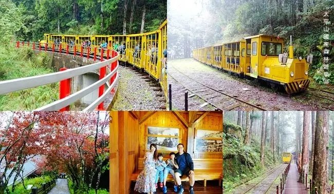 宜蘭太平山親子一日遊 ▶ 太平山蹦蹦車│紅葉步道│茂興懷舊步道│太平山莊午餐 ▶ 蹦蹦車搭乘資訊、票價 太平山國家森林遊樂區旅遊行程、太平山旅遊景點!