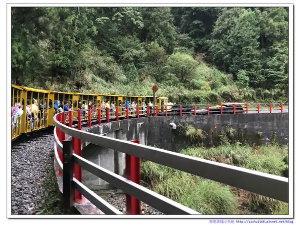 ☆宜蘭 太平山蹦蹦車復駛初體驗，雨中霧裡看森林也別有滋味