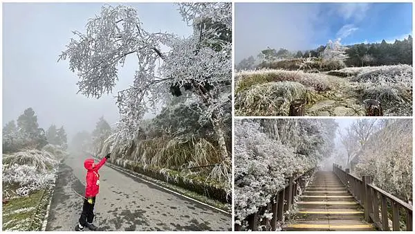宜蘭.大同-太平山霧淞之美，跨年追雪全紀錄，銀白世界真的好美!