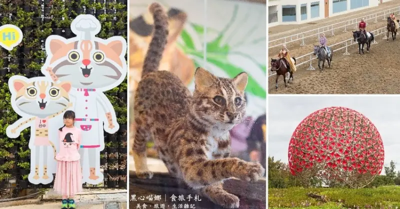 台中花博后里馬場森林園區︱花再美，也美不過石虎，千里而來不只賞花，更為了解牠！（2018.11.03～2019.04.24）