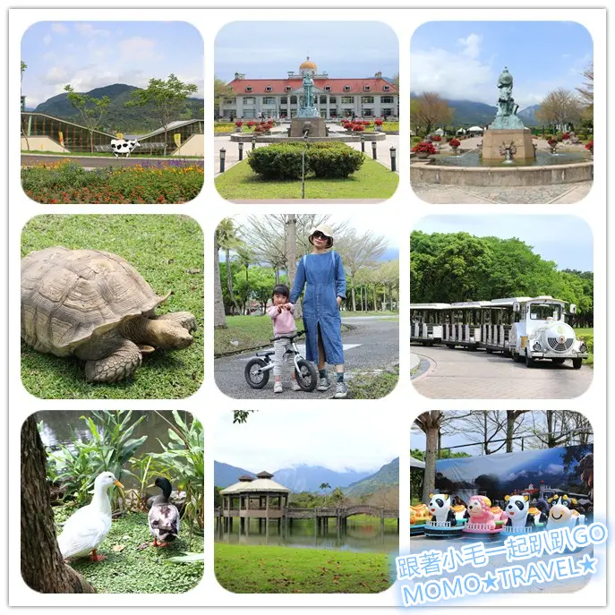 花蓮旅遊-新光兆豐休閒農場 依山傍水自然生態農場丨小朋友最愛可愛動物區