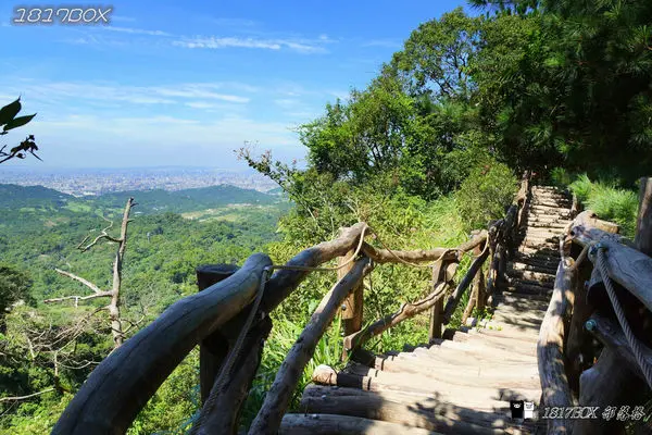 【台中。北屯】大坑4號步道。頭嵙山。大坑5號步道。大坑3號步道。大坑3-1步道。台中萬里長城軟腳坡。相思圓木舖設的木棧道
