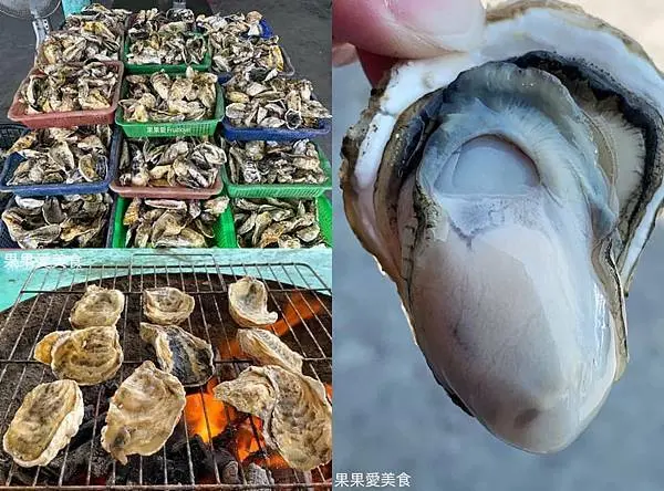 永順號遊潟湖老闆不怕你吃，不限時、不限量，鮮甜肥美的鮮蚵吃到飽，還有豐富生態導覽 , 欣賞沿途潟湖與沙洲的美麗　七股瀉湖永順號