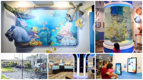 彰化新景點！整面3D彩繪牆，戲水池、白沙遊戲區，一枚硬幣可以玩半天。