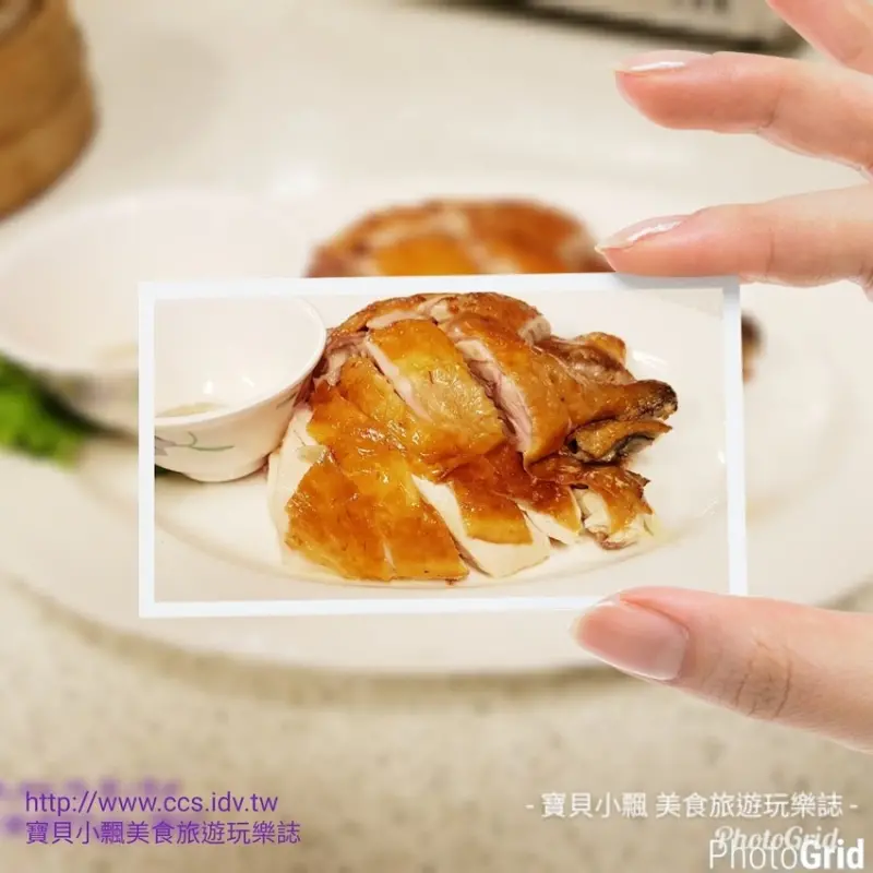 [食]台北 城市後花園 陽明山中 三十年的好美味 陽明山餐廳推薦-松竹園土雞城