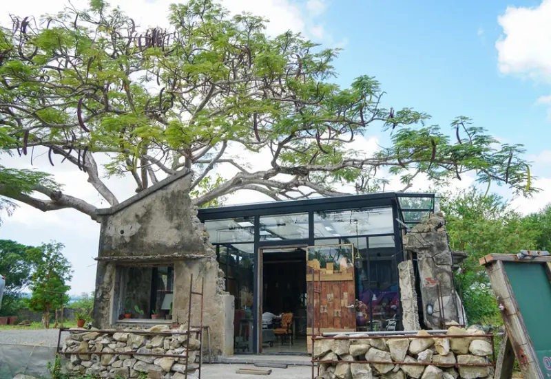 [墾丁IG打卡]樹夏飲事-鳳凰樹下浪漫玻璃屋咖啡廳!放慢步調的發呆空間 - 美食好芃友