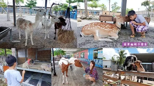 墾丁親子旅遊景點 ▶ 墾草趣親子園區 ▶ 近距離與小鹿斑比、草泥馬接觸 還有羊咩咩、兔子、馬兒等 恆春親子景點、墾丁梅花鹿!